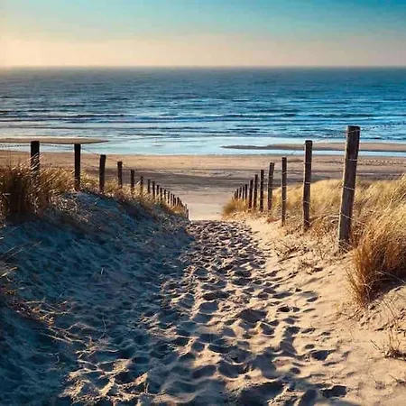 Ostseeurlaub Mit Hund In